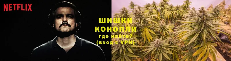 Шишки марихуана Bruce Banner  Сатка 